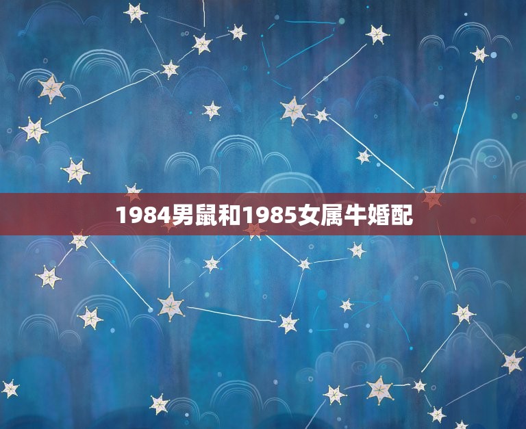 1984男鼠和1985女属牛婚配，1985年属牛女性与1984年属鼠男