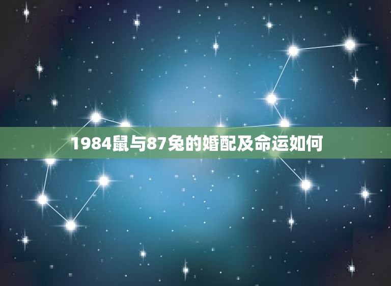 1984鼠与87兔的婚配及命运如何，1987年属兔的跟1984年的属鼠