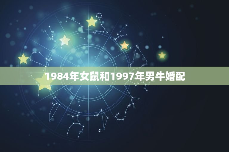 1984年女鼠和1997年男牛婚配，1984年属鼠的人与1997年属牛