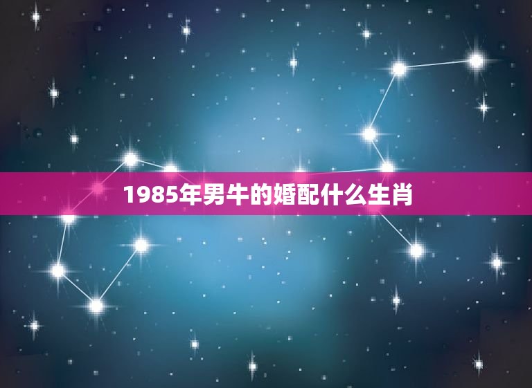 1985年男牛的婚配什么生肖，85年属牛的上等婚配