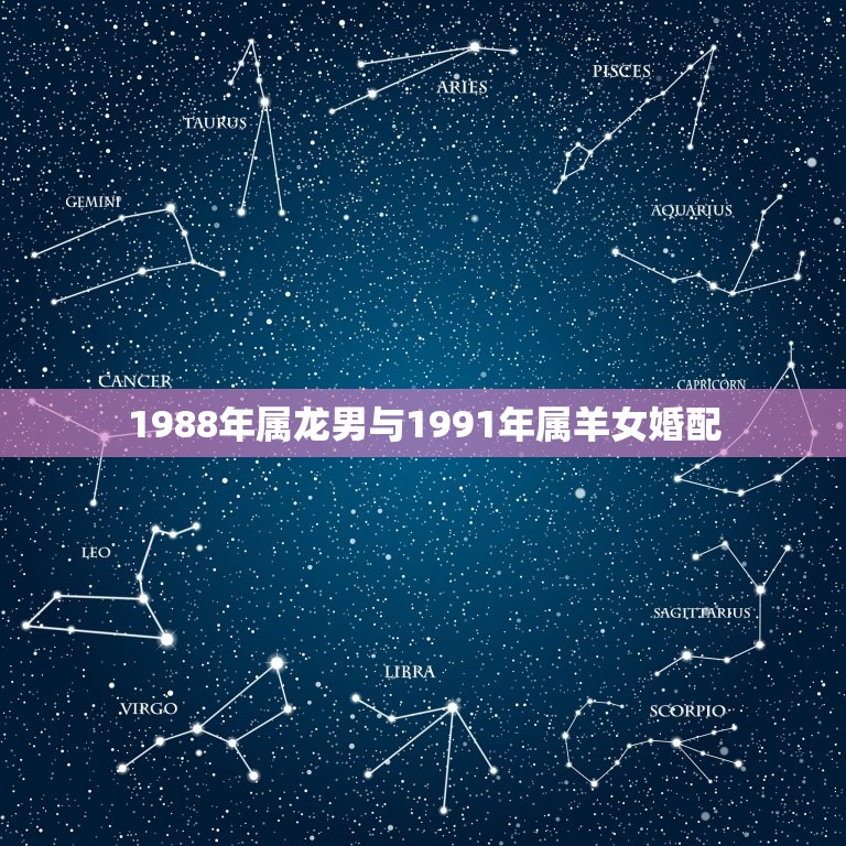 1988年属龙男与1991年属羊女婚配，1991年属羊女与1988年属