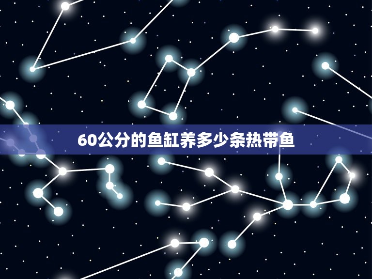 60公分的鱼缸养多少条热带鱼，60CM的鱼缸应该养多少条鱼呢，我这样会