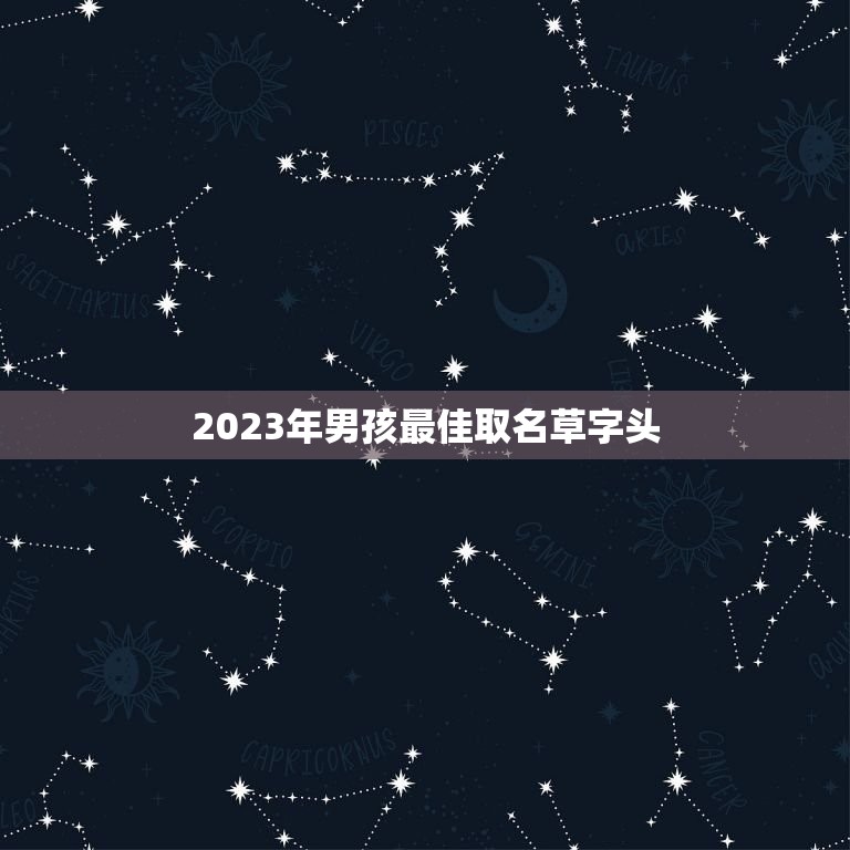 2023年男孩最佳取名草字头，亲，帮我找一个适合给男孩子取名用的，带草