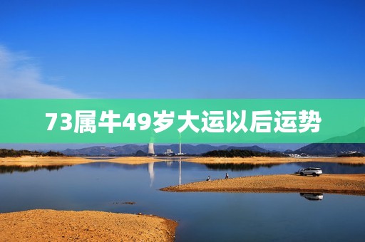 73属牛49岁大运以后运势，73年属牛哪年发财