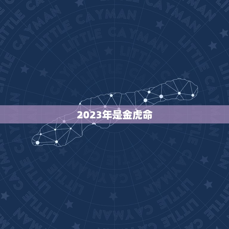 2023年是金虎命，2023年虎年是什么命