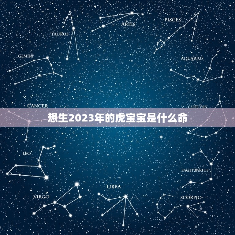 想生2023年的虎宝宝是什么命，2023年虎年是什么命