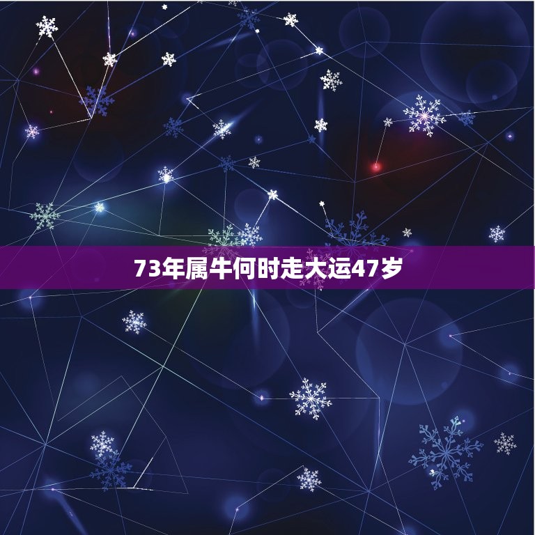 73年属牛何时走大运47岁，73年属牛的人今后几年财运如何