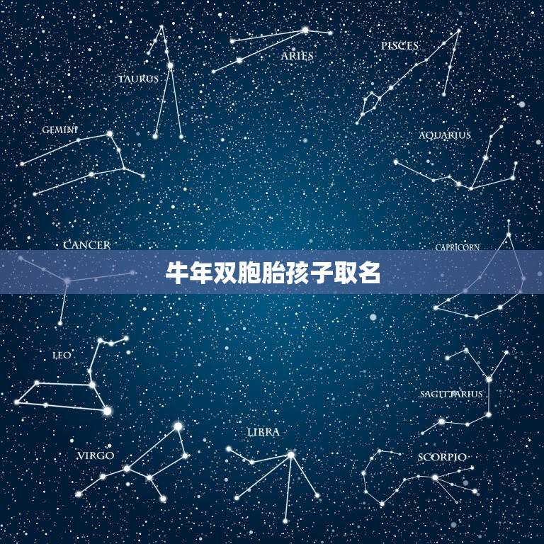 牛年双胞胎孩子取名，属牛取什么名字