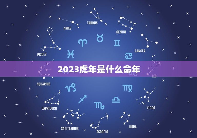 2023虎年是什么命年，2023年是什么虎