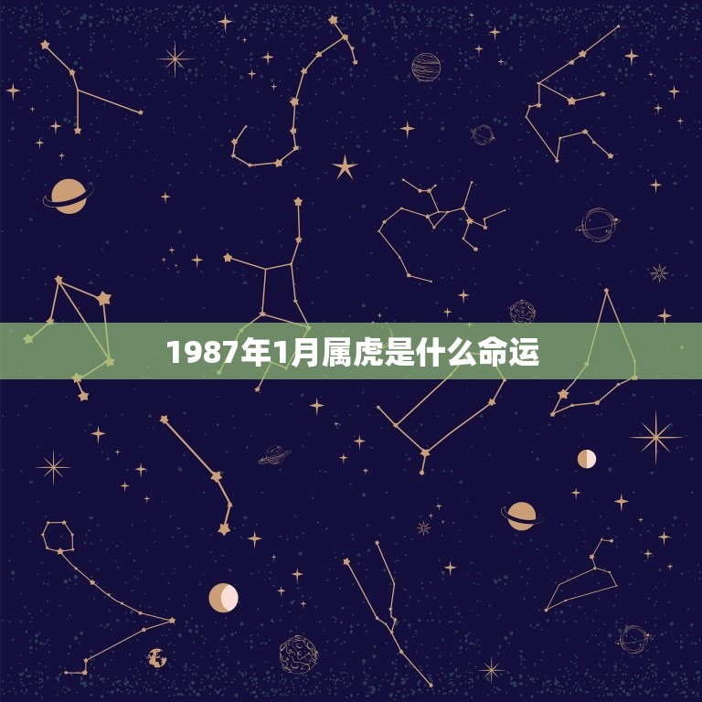 1987年1月属虎是什么命运，1987年1月10日出生是什么命