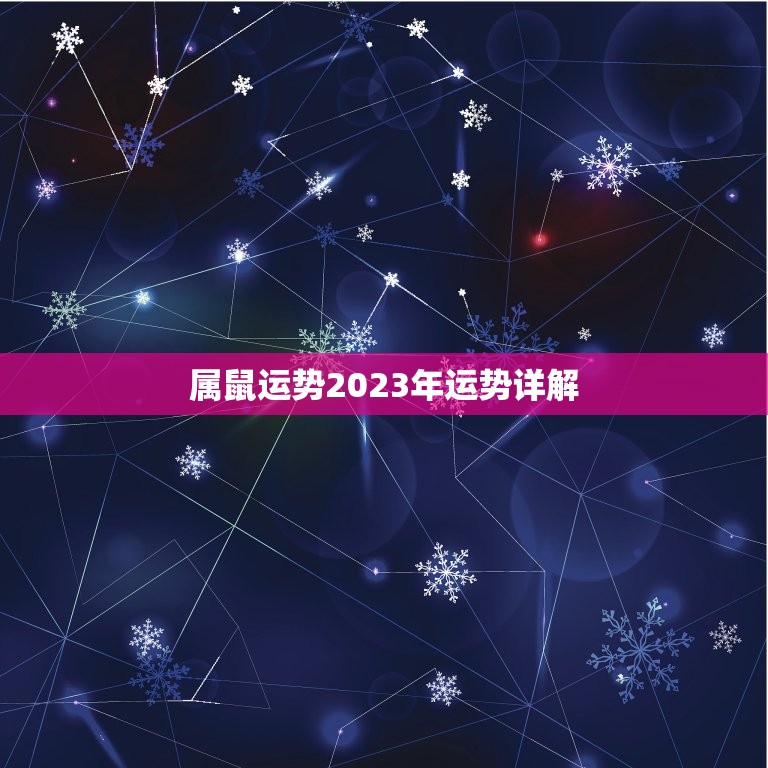 属鼠运势2023年运势详解，属鼠人今年运势2023年每月运势 女  第1张