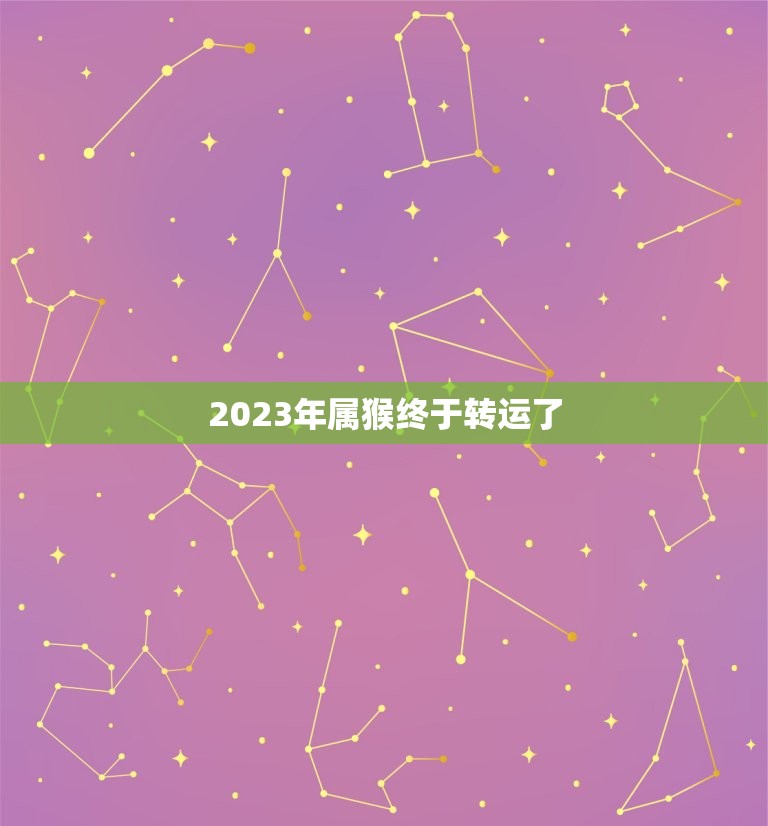 2023年属猴终于转运了，80年属猴人在2023年的全年运势