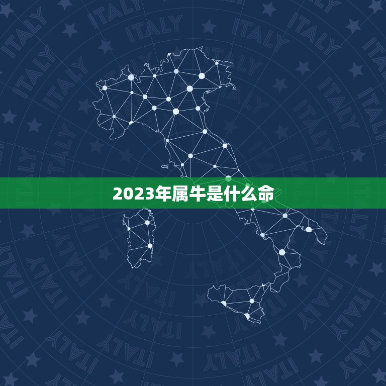 2023年属牛是什么命，2023年是什么命