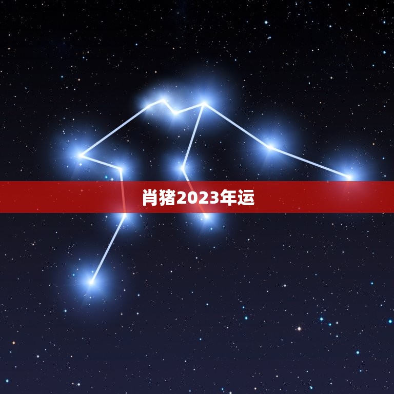 肖猪2023年运，95年生肖猪2023年运势