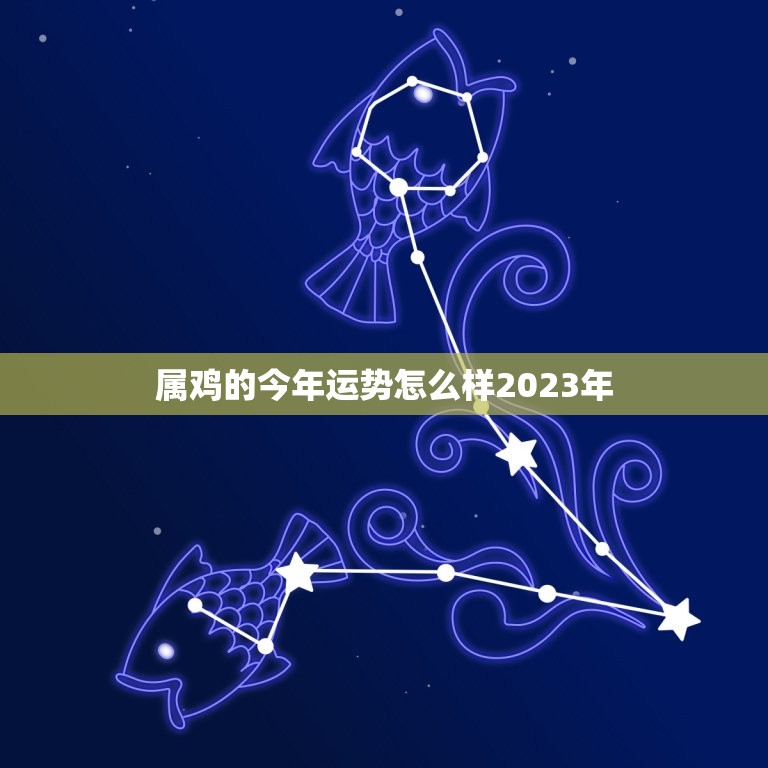 属鸡的今年运势怎么样2023年，属鸡男2023年全年运势如何