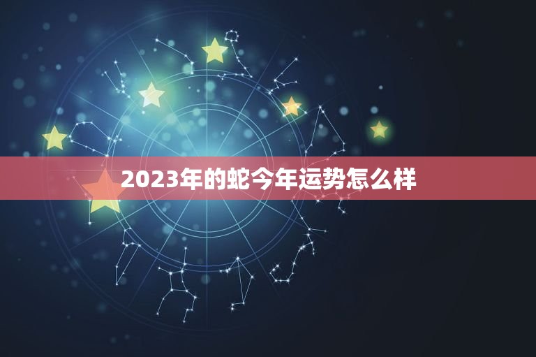 2023年的蛇今年运势怎么样，2023蛇人全年运势如何