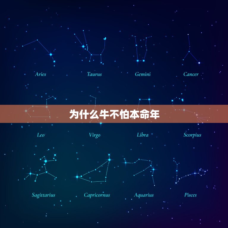 为什么牛不怕本命年，属牛的本命年应该注意什么？