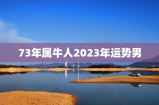 73年属牛人2023年运势男，1973年属牛2023年每月运势