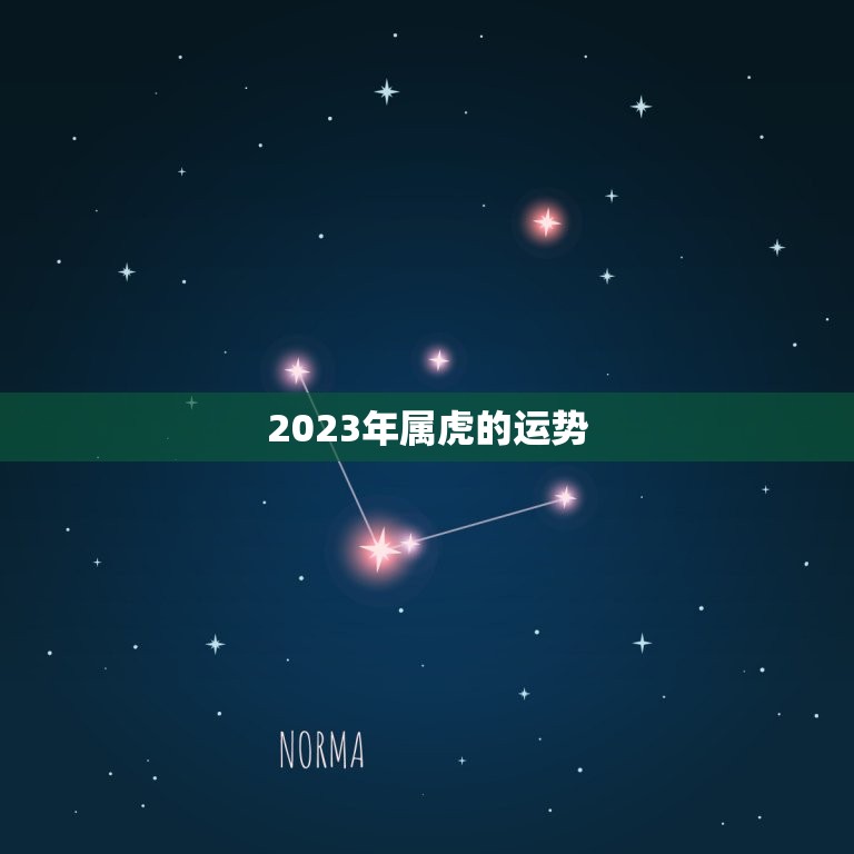 2023年属虎的运势，2023年运势及运程