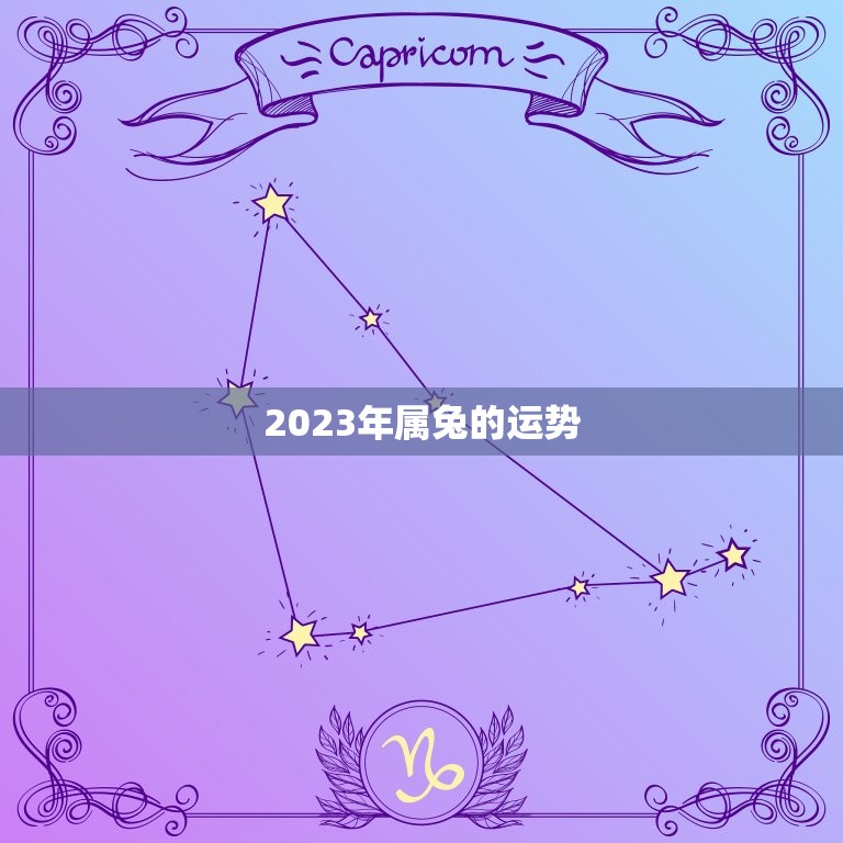 2023年属兔的运势，2023年兔子的运势如何