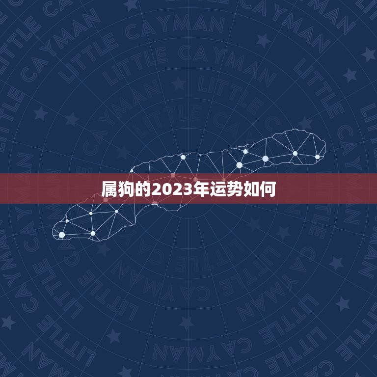 属狗的2023年运势如何，2023年狗人的全年运势如何