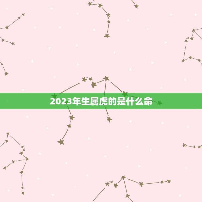 2023年生属虎的是什么命，2023什么年属什么，什么命