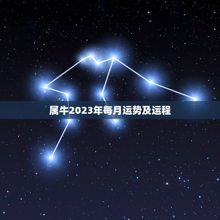 属牛2023年每月运势及运程，73年属牛男2023年运势及运程每月运程