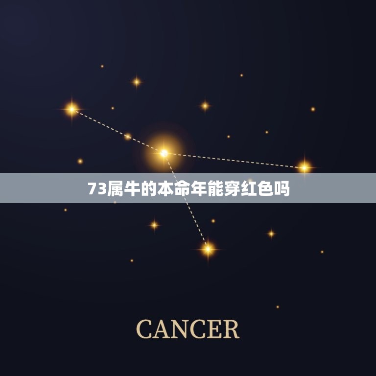 73属牛的本命年能穿红色吗，本命年的大忌属牛可以穿红色吗