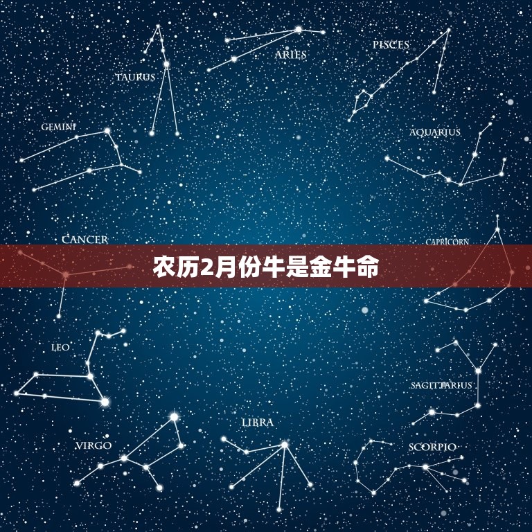 农历2月份牛是金牛命，2023年属牛是什么命