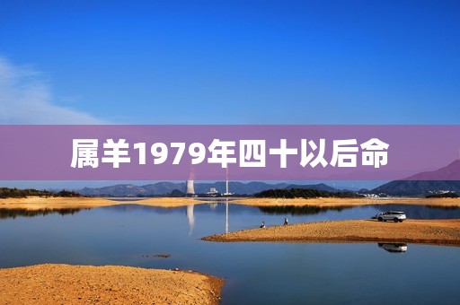 属羊1979年四十以后命，79年属羊男40岁以后命运