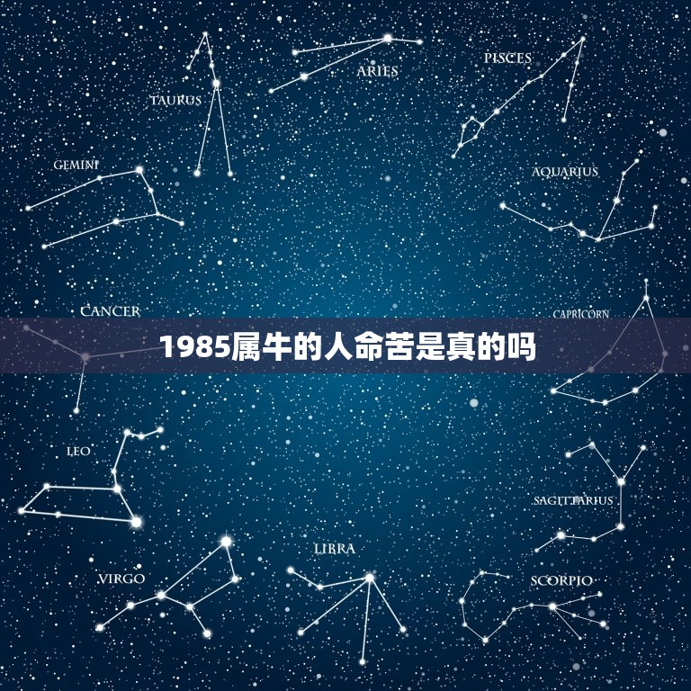 1985属牛的人命苦是真的吗，属牛的人是不是命很苦，很劳碌？命运很坎坷