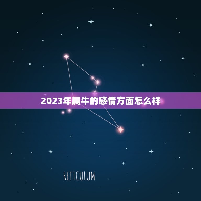 2023年属牛的感情方面怎么样，2023年属牛男1985年和属猪女20