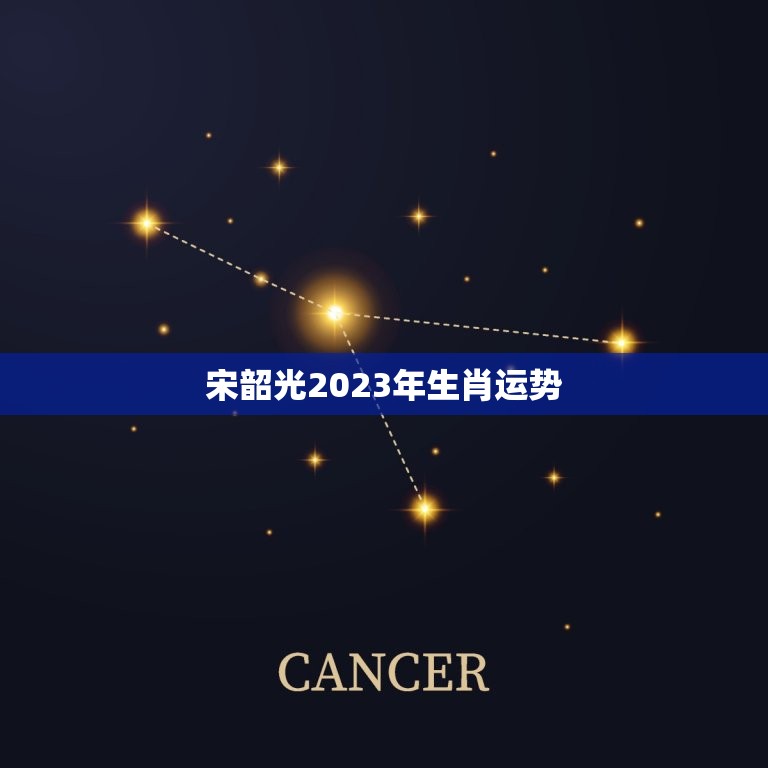 宋韶光2023年生肖运势，宋韶光做生肖运程推测准确吗