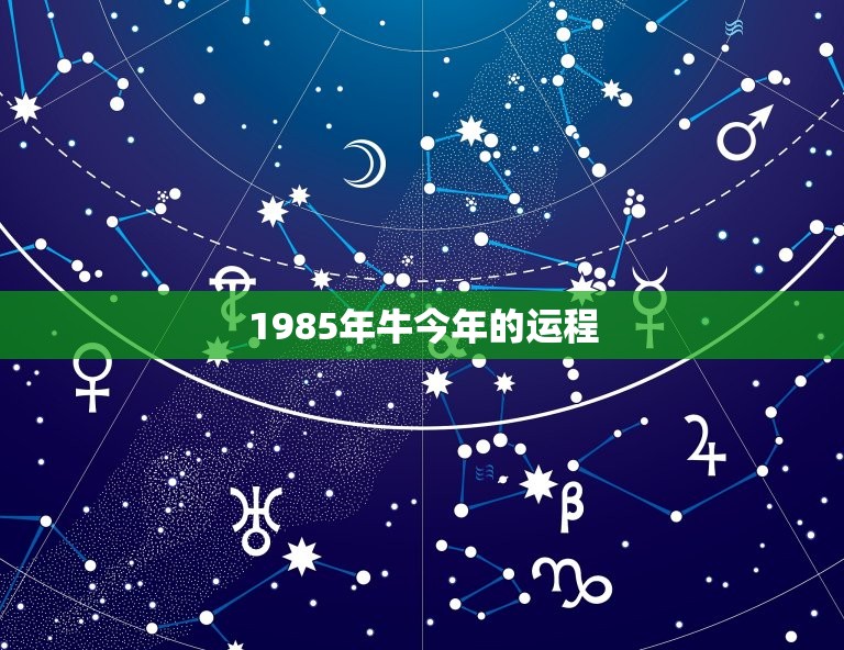 1985年牛今年的运程，85年的牛今年做生意运程怎样