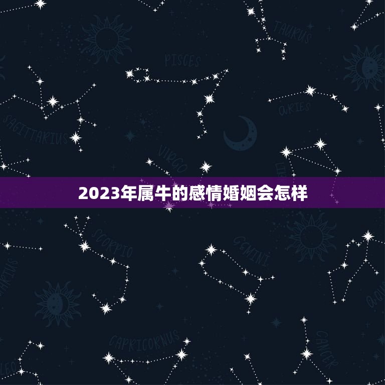 2023年属牛的感情婚姻会怎样，73年属牛49岁2023感情