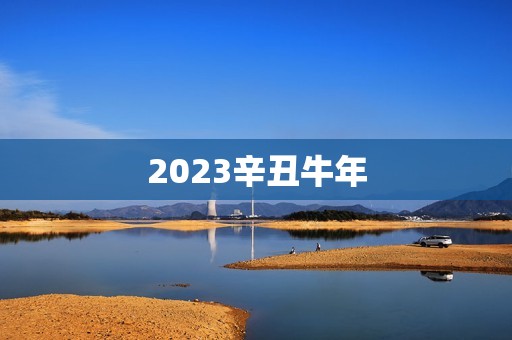 2023辛丑牛年，牛年十二生肖运势2023运势详解