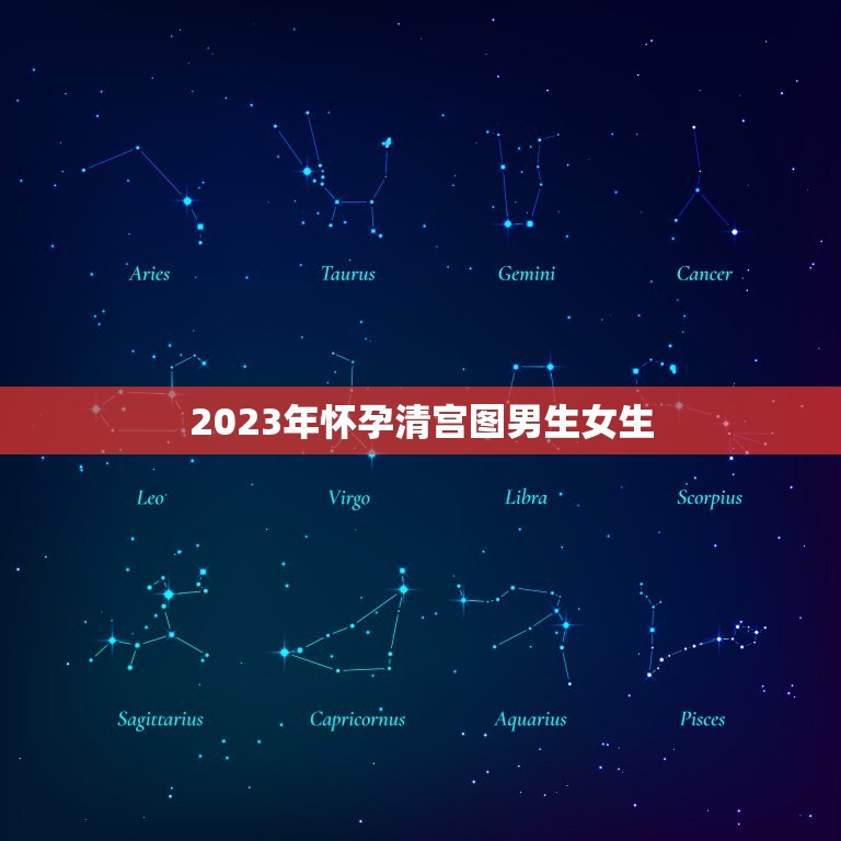 2023年怀孕清宫图男生女生，清宫图2023年生男生女表怎么算