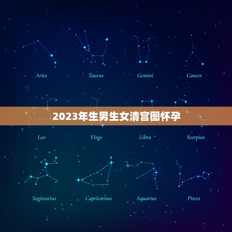 2023年生男生女清宫图怀孕，生男生女清宫图怎么算