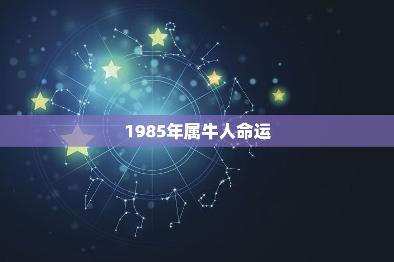 1985年属牛人命运，帮我算属牛1985年出生的一生的命运和 财运