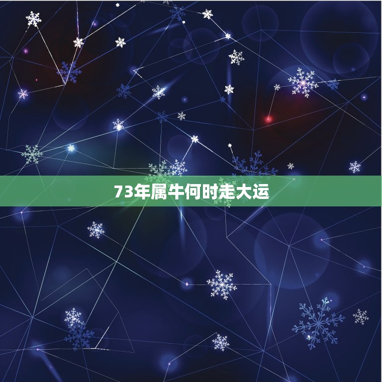 73年属牛何时走大运，1973年属牛人今年有财吗？