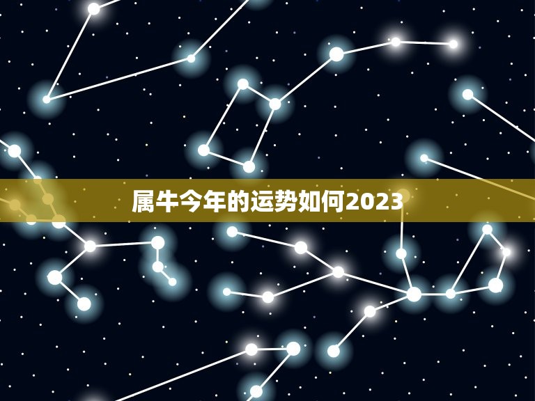 属牛今年的运势如何2023，2023年属牛的运势和财运