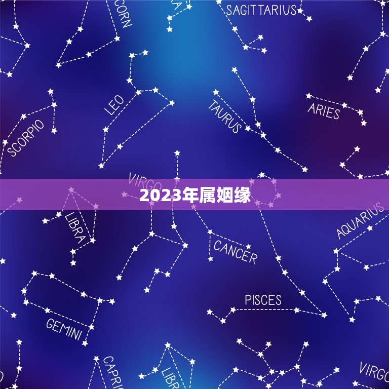 2023年属姻缘，93年2023年运势