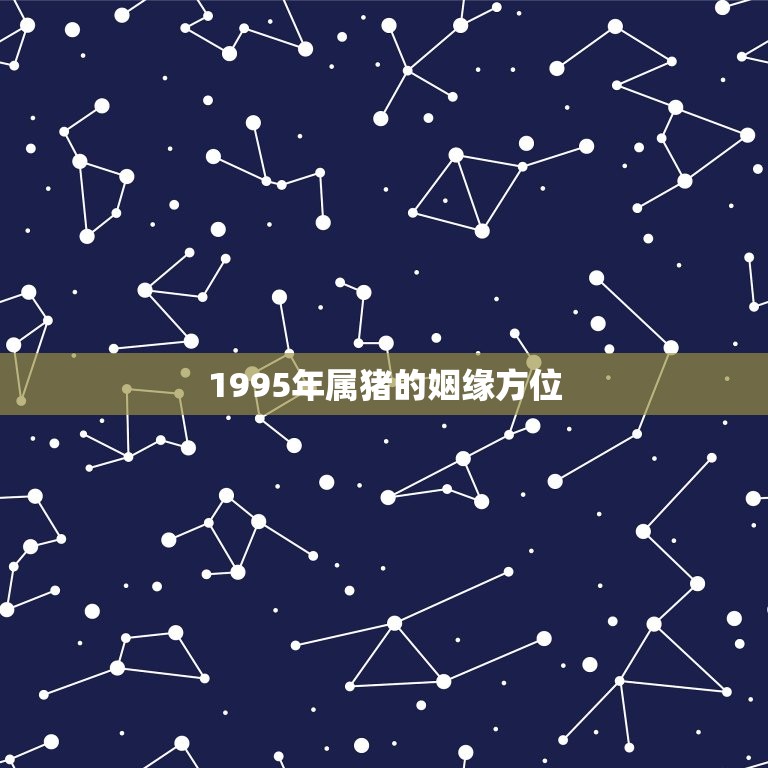 1995年属猪的姻缘方位，95年属猪找对象方位