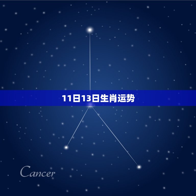 11日13日生肖运势，十二生肖星座每日运势