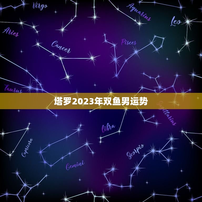 塔罗2023年双鱼男运势