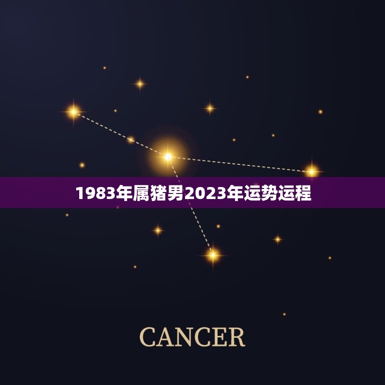 1983年属猪男2023年运势运程