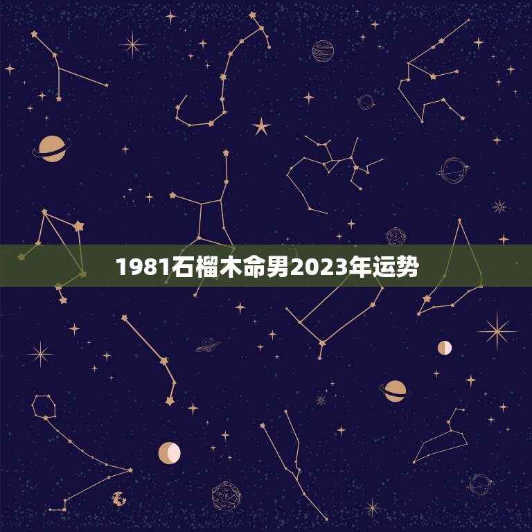 1981石榴木命男2023年运势