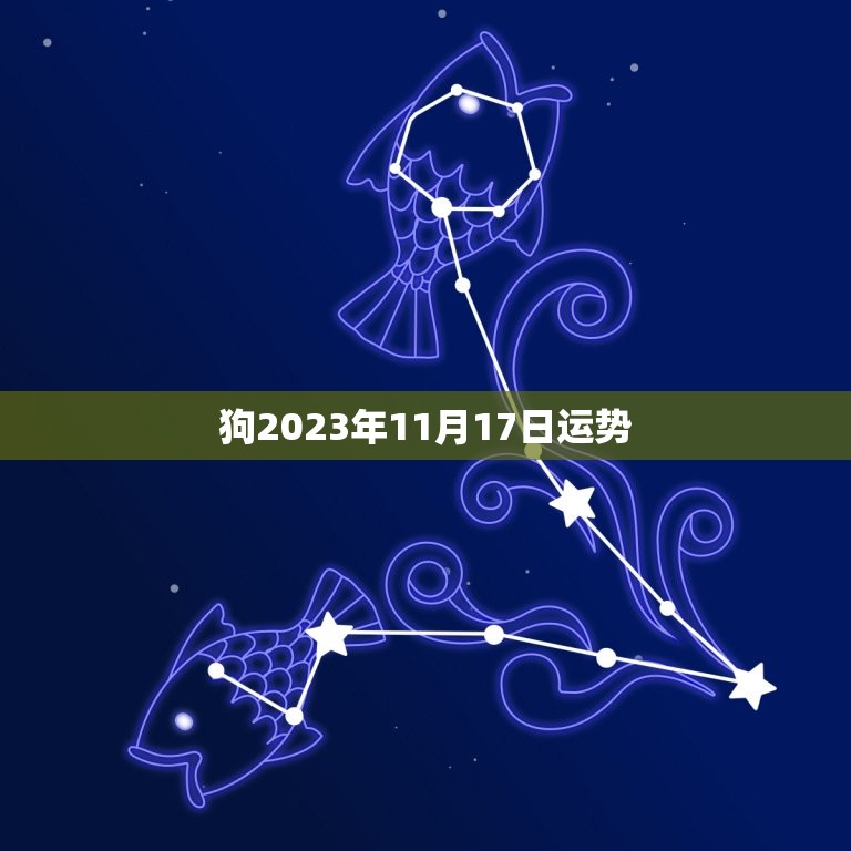 狗2023年11月17日运势