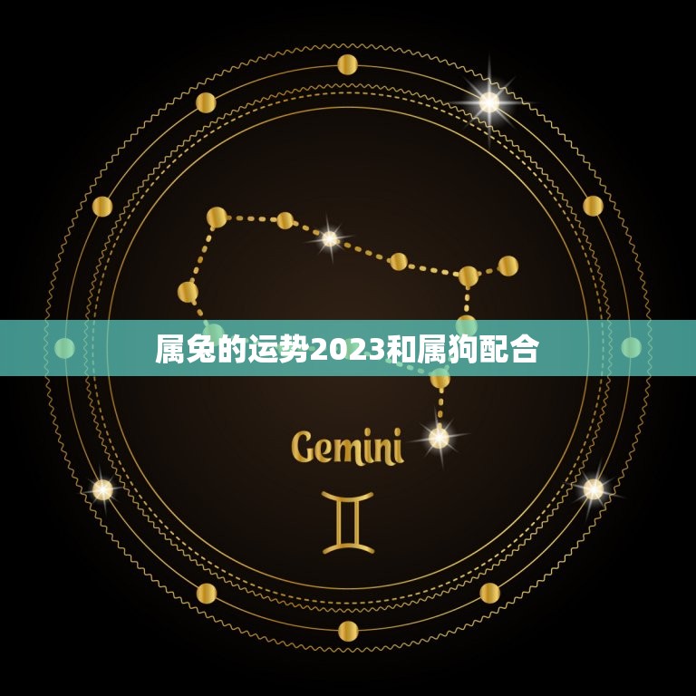 属兔的运势2023和属狗配合