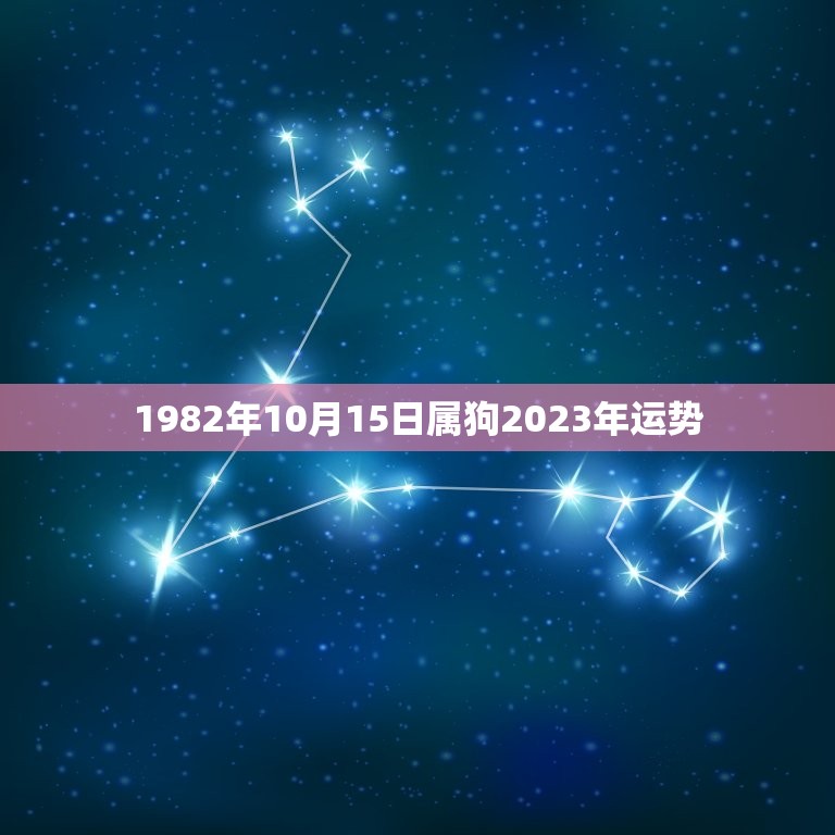 1982年10月15日属狗2023年运势，82年属狗何时走大运